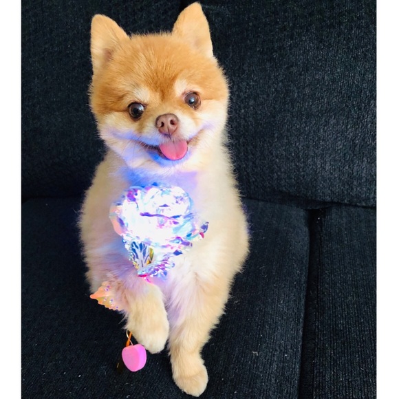 Meet your Posher, Nhu - Picture 4 of 4